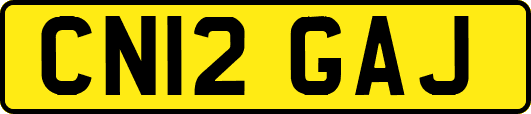 CN12GAJ