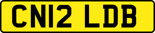 CN12LDB