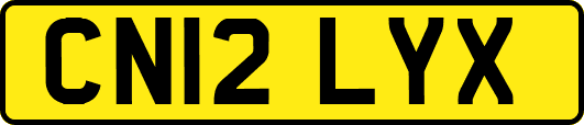 CN12LYX