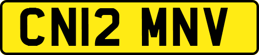 CN12MNV