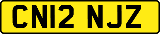 CN12NJZ