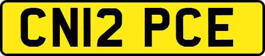 CN12PCE