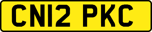 CN12PKC