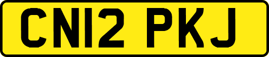 CN12PKJ