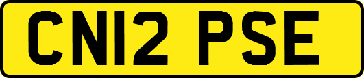 CN12PSE