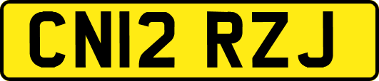CN12RZJ