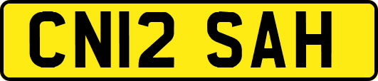 CN12SAH