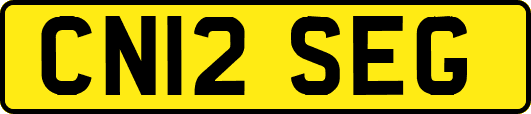 CN12SEG