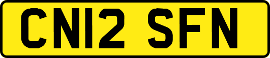 CN12SFN
