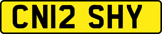 CN12SHY