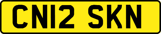 CN12SKN