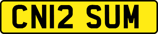 CN12SUM