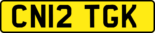 CN12TGK