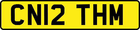 CN12THM