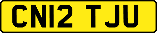 CN12TJU