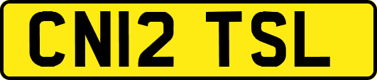 CN12TSL
