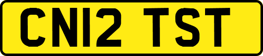 CN12TST