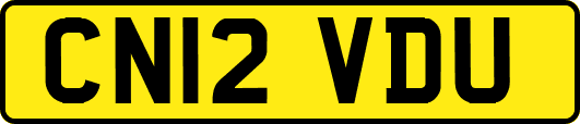 CN12VDU