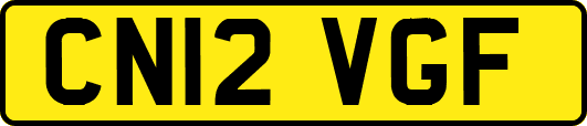 CN12VGF