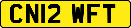 CN12WFT