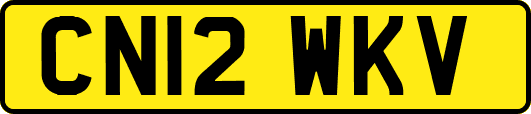 CN12WKV