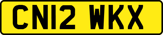 CN12WKX
