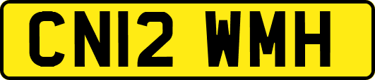 CN12WMH