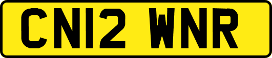 CN12WNR