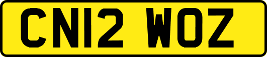 CN12WOZ