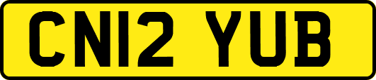 CN12YUB