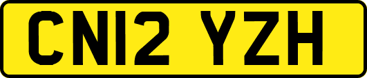 CN12YZH