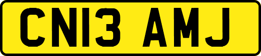 CN13AMJ