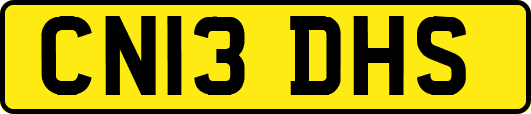 CN13DHS
