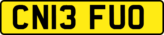 CN13FUO
