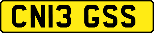 CN13GSS