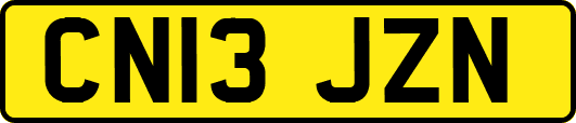 CN13JZN