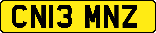 CN13MNZ