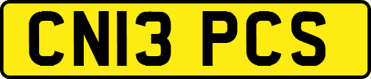 CN13PCS