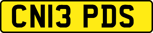 CN13PDS