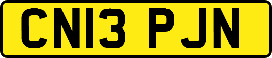 CN13PJN