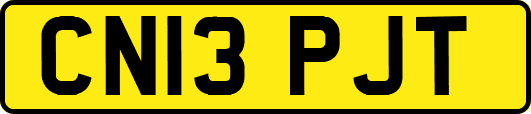 CN13PJT