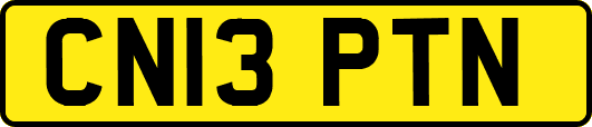 CN13PTN
