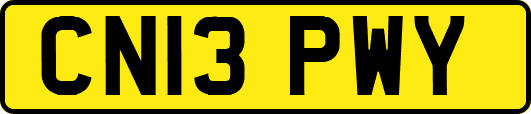 CN13PWY