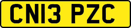 CN13PZC