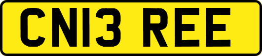 CN13REE