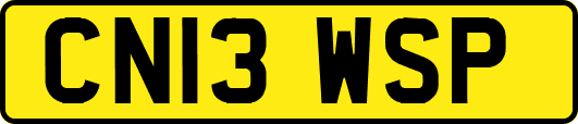CN13WSP