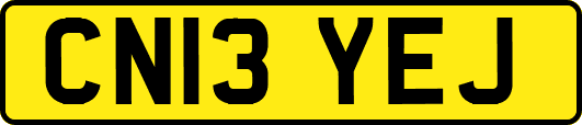 CN13YEJ