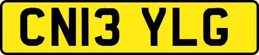 CN13YLG