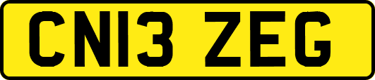 CN13ZEG