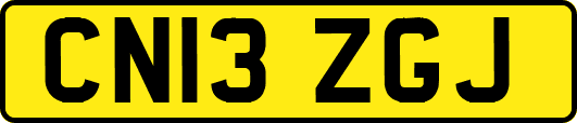 CN13ZGJ
